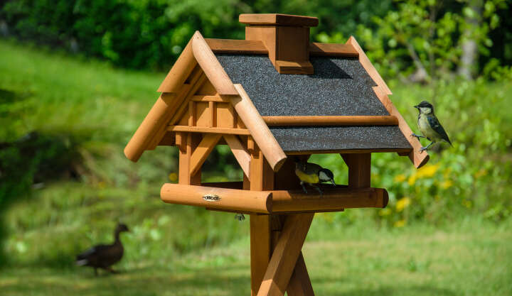 dobar Vogelhaus inkl. Ständer und Futtersilo